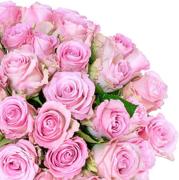 Valentinstag   24 rosafarbenen Rosen für 27,23€ (statt 36€)