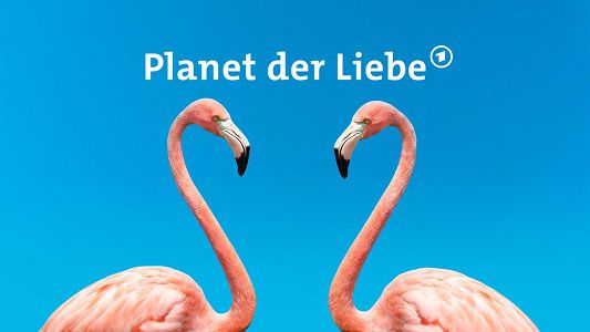 ARD: Doku Planet der Liebe (IMDb 8,9/10) anschauen