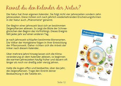 Kostenloses Mitmachpaket für Grundschüler zum Thema Biene zzgl. 6,90€ Versandkosten