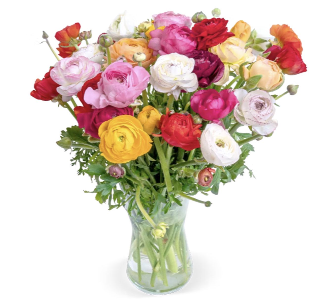 💐 Bunter Blumenstrauß mit 50 Ranunkeln für 25,48€