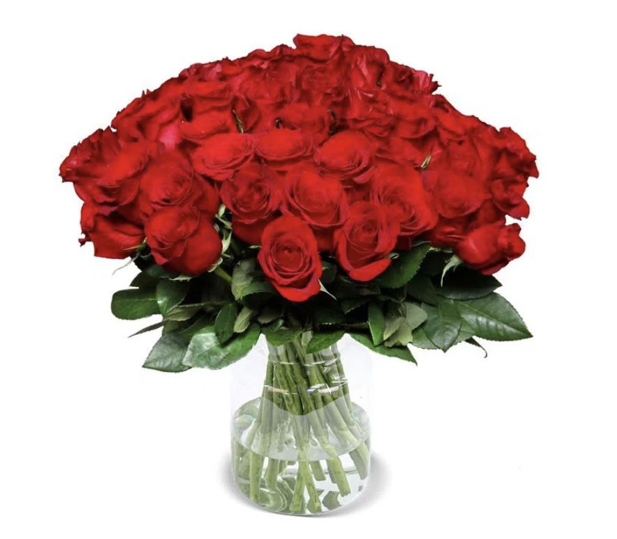 44 rote Rosen mit 40cm Länge für 25,98€