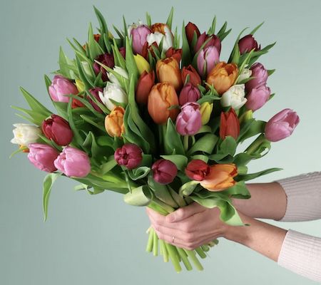 Bunte Tulpen mit 50 Stielen für 15,94€ inkl. Versand