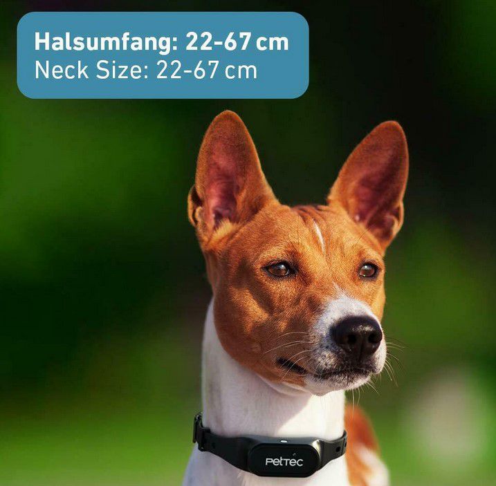 PetTec Antibell Erziehungshalsband für Hunde für 29,95€ (statt 36€)