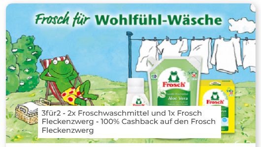 Couponplatz: 2x Froschwaschmittel kaufen und 1x Frosch Fleckenzwerg gratis