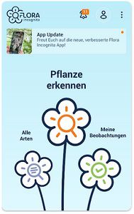 Pflanzenbestimmungs App Flora Incognita kostenlos nutzen