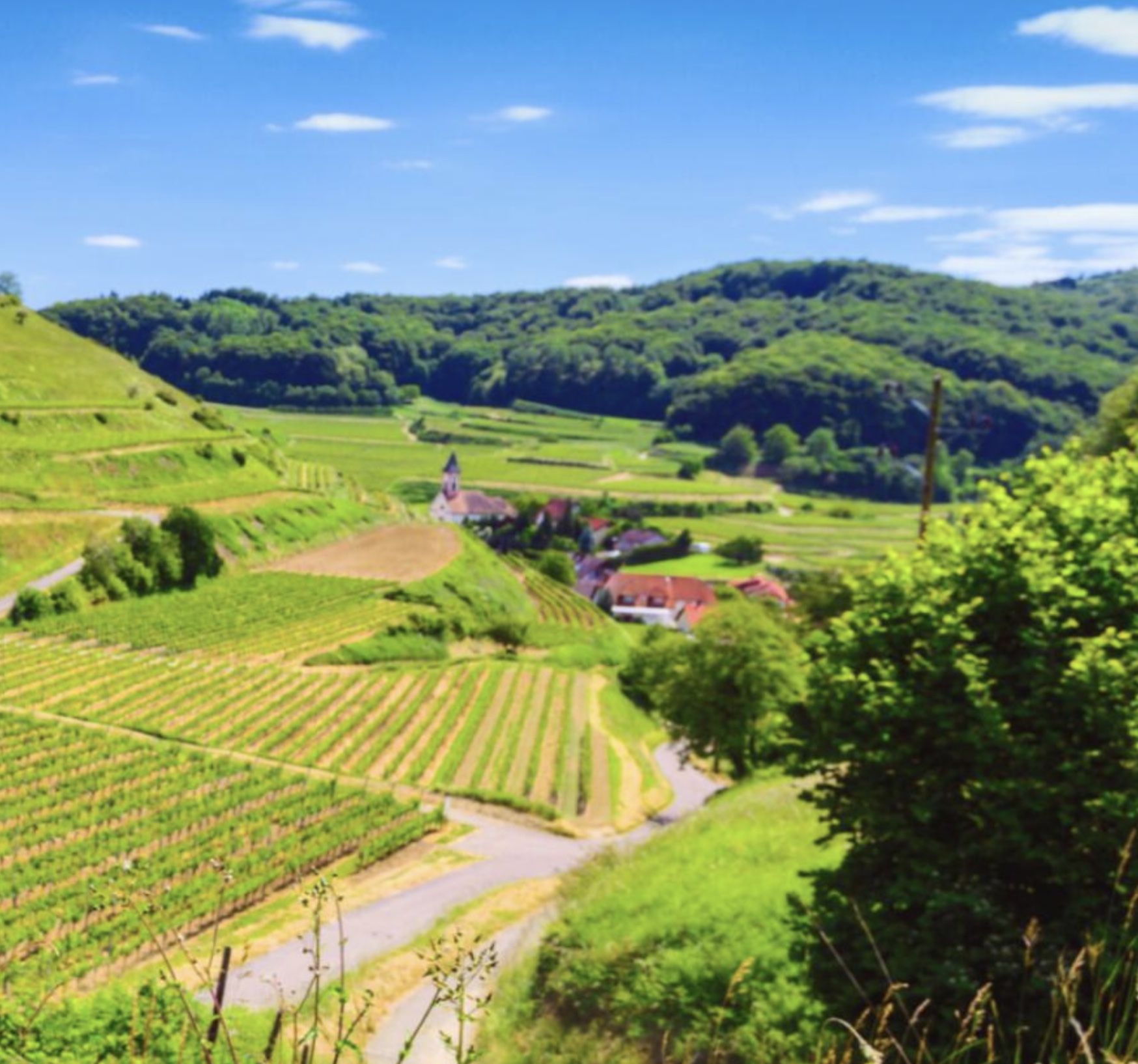2 ÜN im Hotel Schwarzwald Panorama inkl. Frühstück &#038; Dinner ab 180€ p.P.