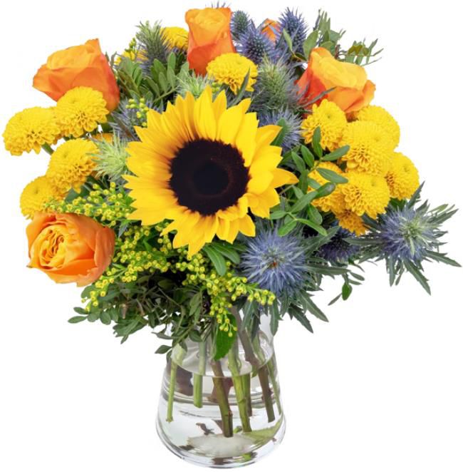 Blumenstrauß Sonnenkuss mit Sonnenblumen und Rosen für 24,24€ (statt 36€)
