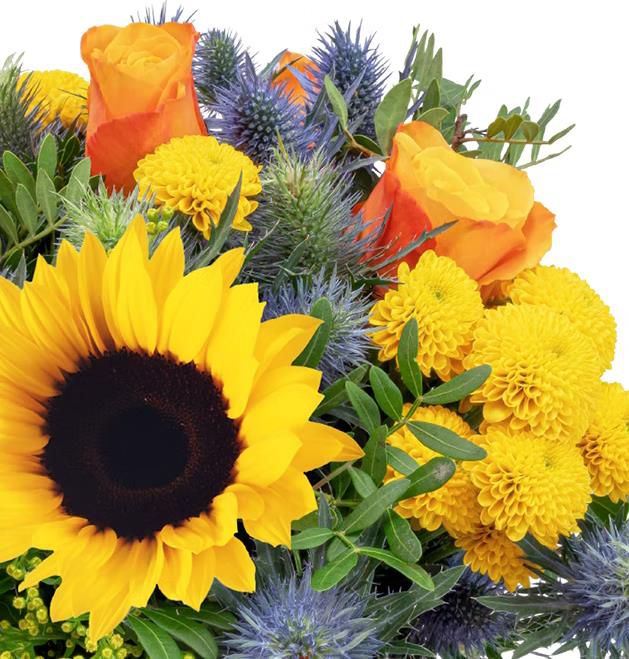 Blumenstrauß Sonnenkuss mit Sonnenblumen und Rosen für 24,24€ (statt 36€)