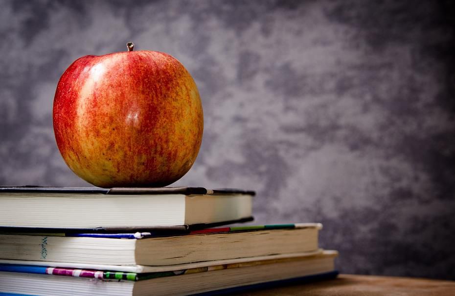 Gute Noten in der Schule? Hier bekommt ihr Gutscheine als Belohnung