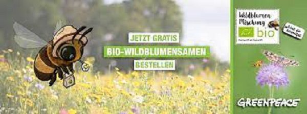 Greenpeace: Kostenlose Bio Wildblumensamen