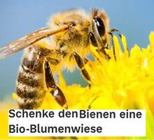 Greenpeace: Kostenlose Bio Wildblumensamen