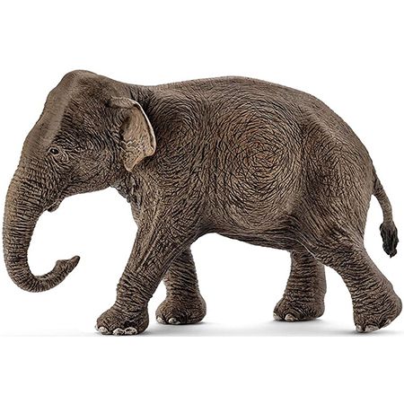 Schleich 14753 &#8211; Asiatische Elefantenkuh für 4,99€ (statt 10€) &#8211; Prime