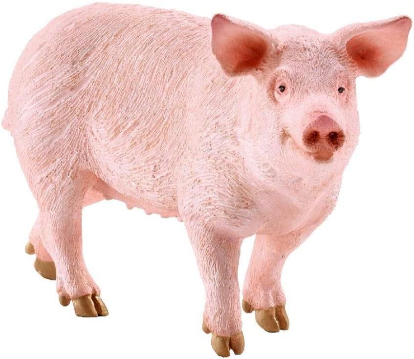 Schleich 13782 Farm World Spielfigur   Schwein für 3,99€ (statt 7€)   Prime