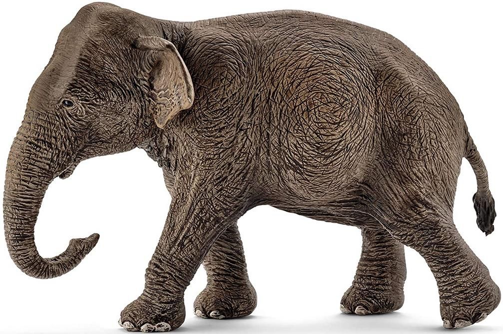 Schleich 14753   Asiatische Elefantenkuh für 4,99€ (statt 10€)   Prime