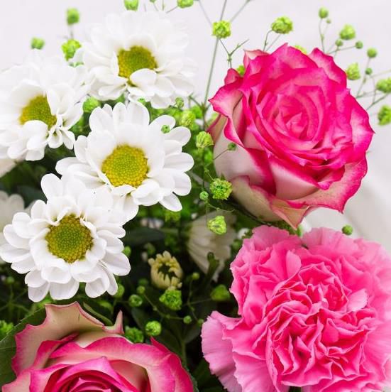 Blumenstrauß Glückskind mit zweifarbigen Rosen für 26,90€ (statt 30€)
