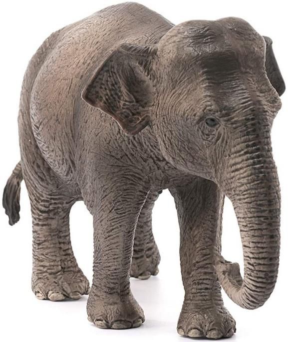Schleich 14753   Asiatische Elefantenkuh für 4,99€ (statt 10€)   Prime