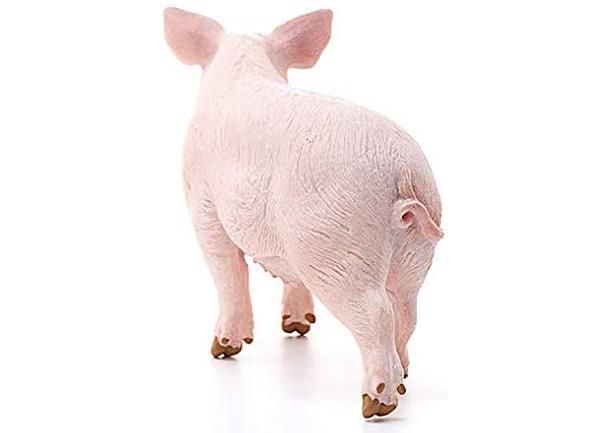 Schleich 13782 Farm World Spielfigur   Schwein für 3,99€ (statt 7€)   Prime