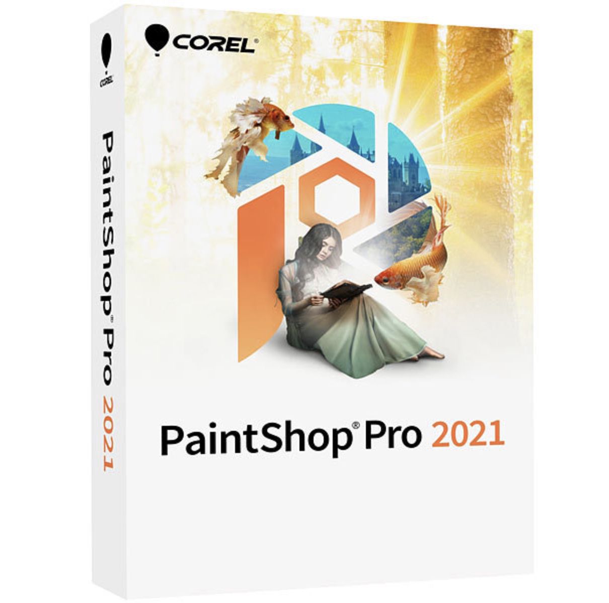 Pearl: Corel PaintShop Pro 2021 gratis (statt ca. ab 55€) + 5,95€ VSK