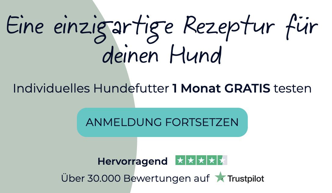 Tails: Hundefutter für 1 Monat gratis ausprobieren + 2€ Versand