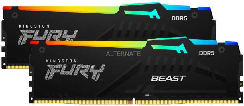 Kingston FURY Beast RGB 32GB DDR5 Dual Modul für 146,89€ (statt 166€)