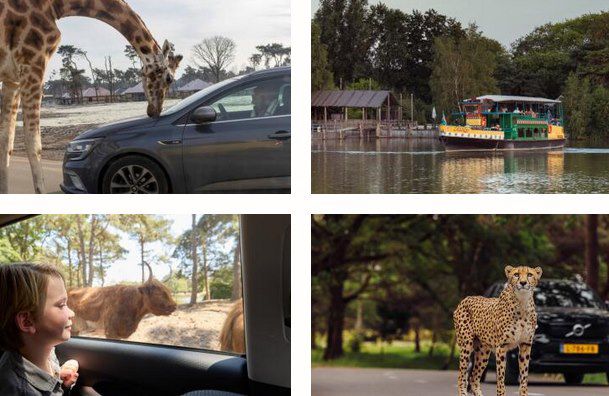 🦓🦒 Eintritt in Safaripark Beekse Bergen (NL) + ÜN mit Frühstück ab 79€ p.P.