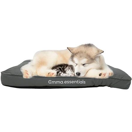 Emma Essentials Extra Komfort Hundebett, Gre M, Waschbar, 76x50cm fr 33  (statt 50)
