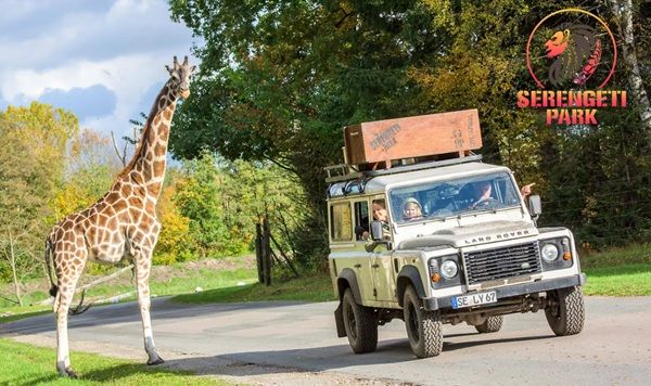 🦒 GRATIS: Mit Antenne Niedersachsen Ausflugsziele in Niedersachsen aufsuchen 🦒 GRATIS: Mit Antenne Niedersachsen Ausflugsziele in Niedersachsen aufsuchen