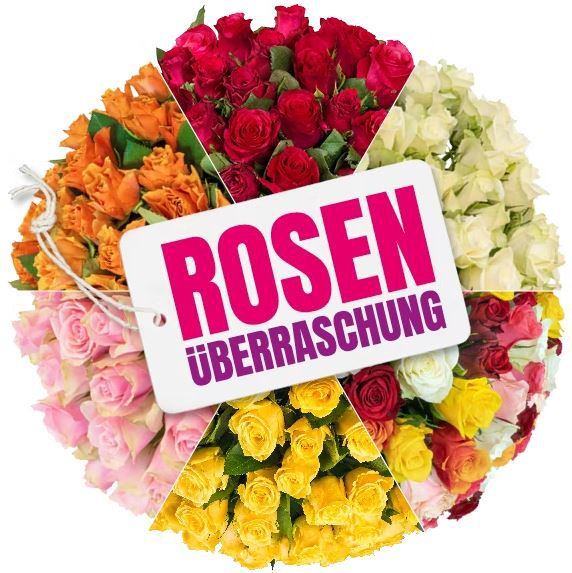 Rosenüberraschung mit 50 Rosen in 40   50cm Länge für 28,98€ (statt 50€)