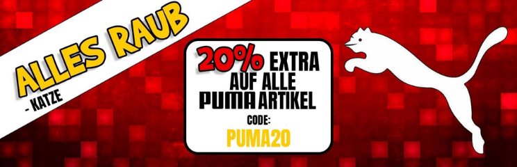 PickSport: 20% Rabatt auf Puma   z.B. Puma Teamfinal 21 Hoodie für 23,98€ (statt 33€)