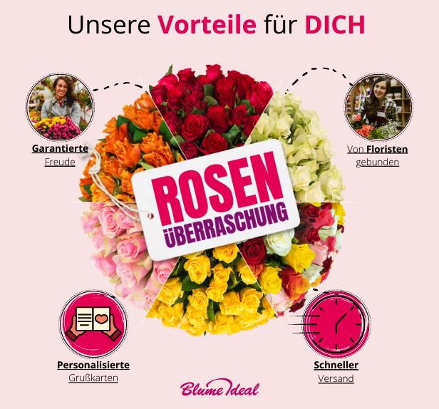 Rosenüberraschung mit 50 Rosen in 40   50cm Länge für 28,98€ (statt 50€)