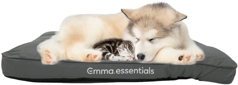 Emma Essentials Extra Komfort Hundebett, Größe M, Waschbar, 76x50cm für 33€ (statt 50€)
