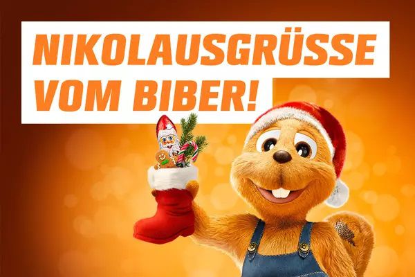 Kostenlos: Nikolaus Aktion bei Obi