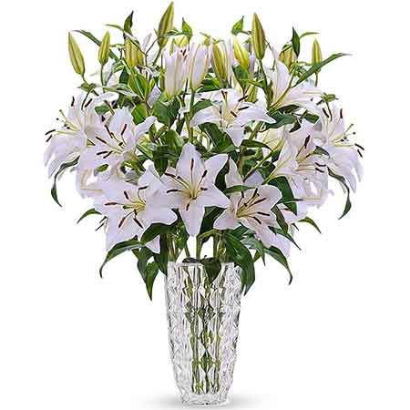 10 weiße Lilien &#8211; 50-60cm Länge, 3-4 Blüten pro Stiel für 20,98€ (statt 30€)