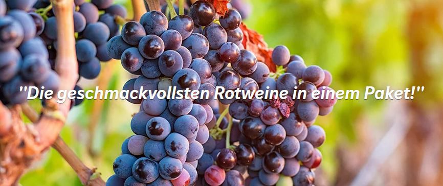 5 Flaschen Rotwein + Magnum Flasche für 9,99€ (statt 48€)