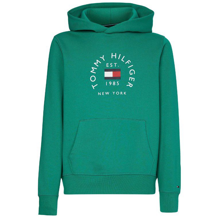 Tommy Hilfiger FLAG ARCH HOODY in Grün ab 31,49€ (statt 75€)