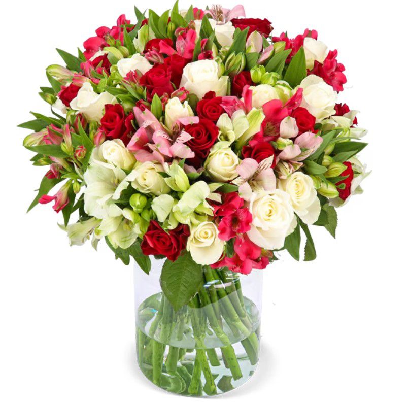 30 Stiele Wonderwoman XXL Blumenstrauß mit bis zu 100 Blüten für 26,98€
