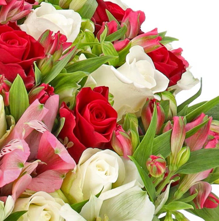 Rosenstrauß Wonderwoman XXL Blumenstrauß mit bis zu 100 Blüten für 27,48€