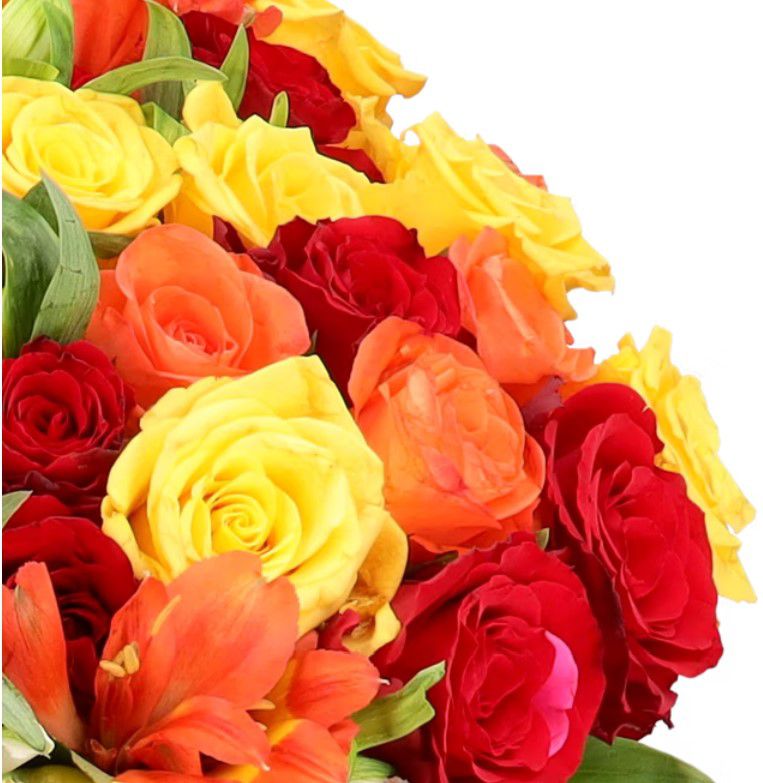 Sunset XXL Blumenstrauß mit bis 100 Blüten für 24,98€