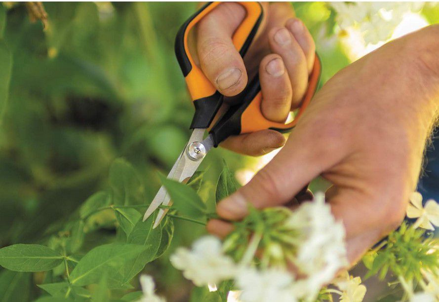 Doppelpack: Fiskars Solid SP15 Universalgartenschere für 13,49€ (statt 19€)