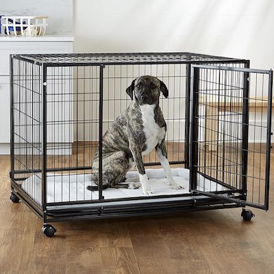 Amazon Basics strapazierfähige &#038; stapelbare Box für Haustiere für 77,89€ (statt 113€)