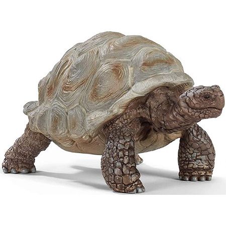 🐢 Schleich Wild Life 14824 Riesenschildkröte für 3,79€ (statt 8€) – Prime