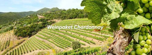 6 Flaschen Wein im Weinpaket Chardonnay für 37,49€ (statt 70€)