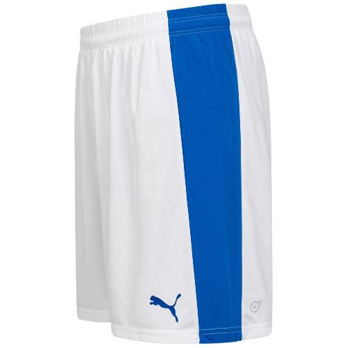 PUMA Power Cat 5.12 Shorts ab 6,99€ (statt 20€)   XL + 2XL