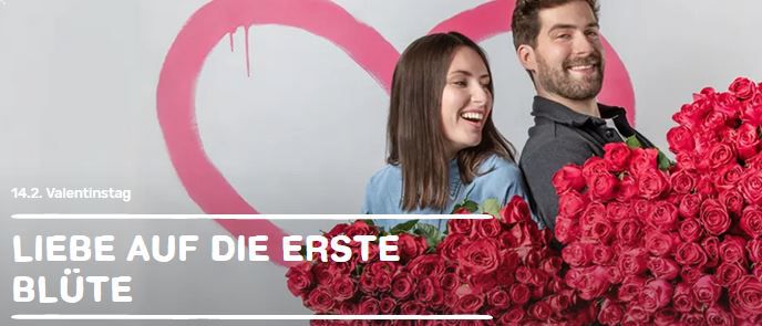 Blume2000: 17% Valentinstagsrabatt ab 26€