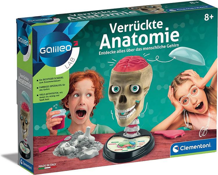 Galileo Lab Verrückte Anatomie, menschlicher Schädel für 8,89€ (statt 17€)