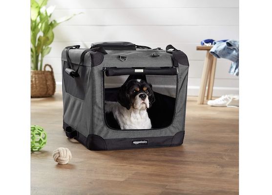 Amazon Basics   Hochwertige Haustier Transportbox (66cm) für 42,19€ (statt 50€)