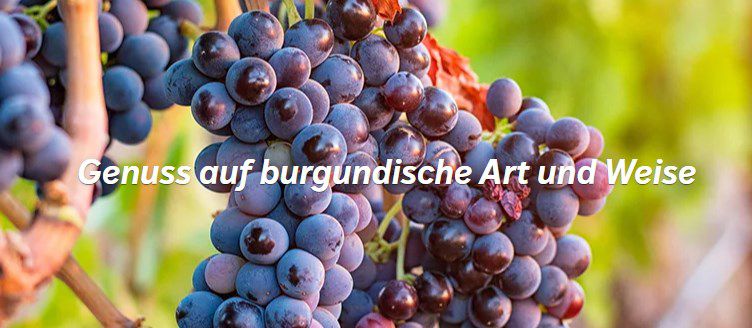 8 Flaschen Wein + 4 Gratis Weingläser für 59,99€ (statt 125€)