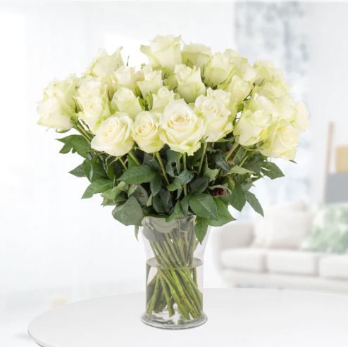 50 weiße Rosen mit 40cm inkl. Videogruß oder Grußkarte für 29,48€