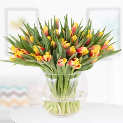 30 zweifarbige Tulpen (rot-gelb) + kostenlose Videobotschaft für 25,90€