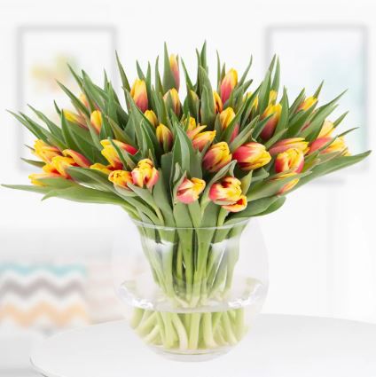 30 zweifarbige Tulpen (rot gelb) + kostenlose Videobotschaft für 27,90€